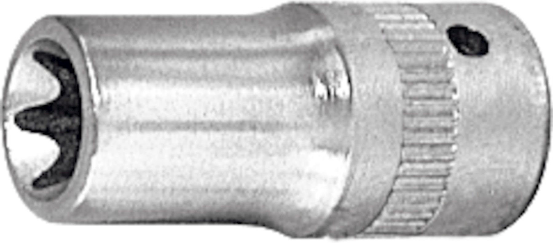 HOLEX Steckschlüssel-Einsatz 1/4" für TX E10 (631515 E10)