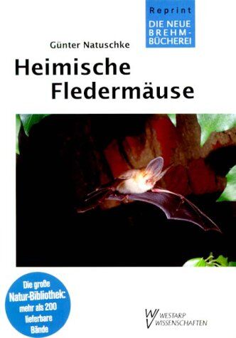 Natuschke - HEIMISCHE FLEDERMÄUSE - Preis vom 02.10.2026 23:42:20 h