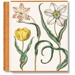 Besler. The Garden at Eichstätt, Fachbücher von Werner Dressendörfer, Klaus Walter Littger