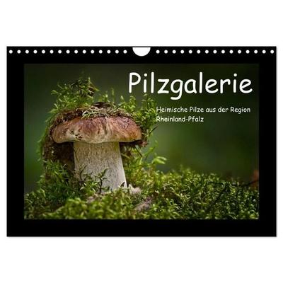 Pilzgalerie - Heimische Pilze aus der Region Rheinland-Pfalz (Wandkalender 2027 DIN A4 quer), CALVENDO Monatskalender