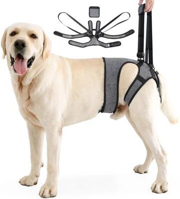 Uplift Treasures Adjustable Dog Lift Harness For Hind Leg Support gray s