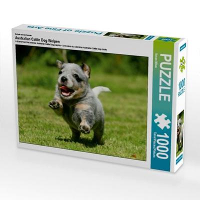 CALVENDO Puzzle Ein Motiv aus dem Kalender Australian Cattle Dog Welpen | 1000 Teile Lege-Größe 64x48cm Foto-Puzzle für glückliche Stunden