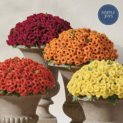 Mum Urn Filler - Orange - Grandin Road