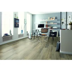 SPC Strong Variant Bodenbelag  Zion Oak