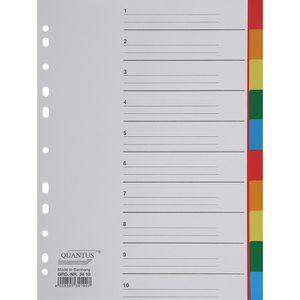Quantus Register Kunststoff, A4, blanko, 10-teilig, vollfarbig