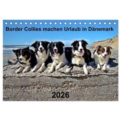 Border Collies machen Urlaub in Dänemark (Tischkalender 2026 DIN A5 quer), CALVENDO Monatskalender