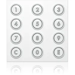 Ritto 1876470 Portier Codiermodul, weiß