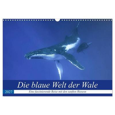 Die blaue Welt der Wale (Wandkalender 2027 DIN A3 quer), CALVENDO Monatskalender