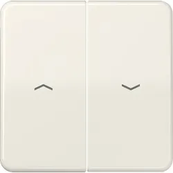 Jung Wippe Symbole ws CD 595 P CD595P