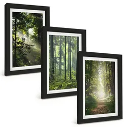 BILDER SET 3er Set - 20x30 cm Schwarzer Rahmen - Grüne Wälder mit Lichtstrahlen