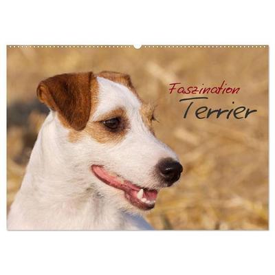 Faszination Terrier (Wandkalender 2027 DIN A2 quer), CALVENDO Monatskalender