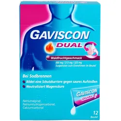 Gaviscon Dual Waldfrucht 500 mg/213 mg/325 mg 120 ML