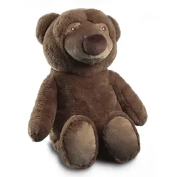 Biederlack Kuschelset Dream Team Bruno 75x100 cm