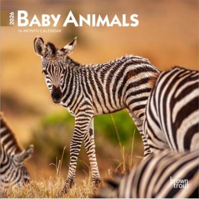 Baby Animals 2026 7 X 14 Inch (Hanging) Monthly Mini Wall Calendar