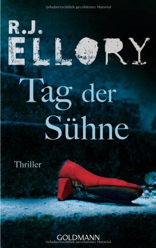 R.J. Ellory - Tag der Sühne: Thriller - Preis vom 17.10.2026 19:25:27 h