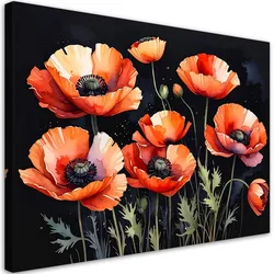 WANDBILD, Feldmohnblumen auf schwarzem Hintergrund