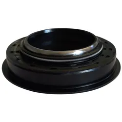 Wellendichtring, Hinterachse ISEKI TM Serie Original | 1491-307-201-00