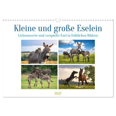 Kleine und große Eselein (Wandkalender 2027 DIN A3 quer), CALVENDO Monatskalender