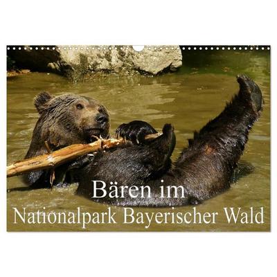 Bären im Nationalpark Bayerischer Wald (Wandkalender 2027 DIN A3 quer), CALVENDO Monatskalender