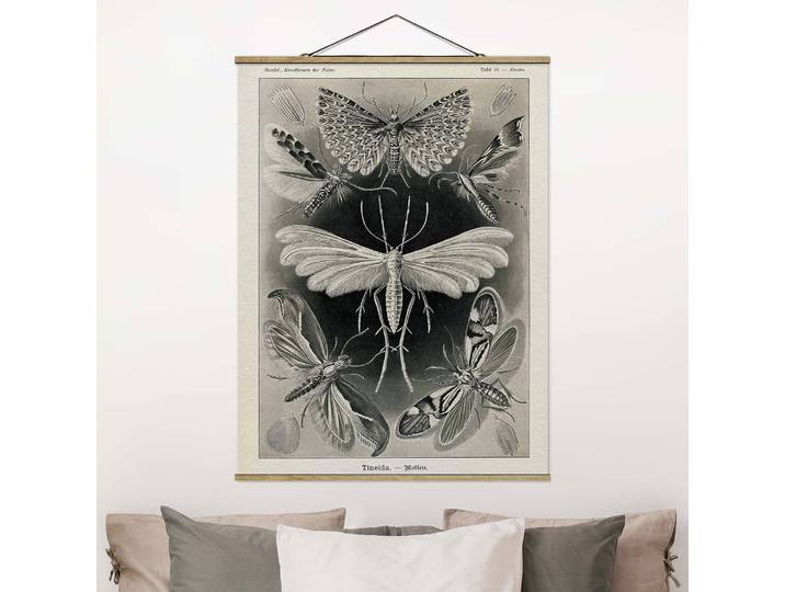 Stoffbild Lehrtafel Motten und Falter Webstoff Schwarz/Weiß 35 x 47cm