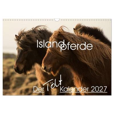 Islandpferde - Der Tölt Kalender (Wandkalender 2027 DIN A3 quer), CALVENDO Monatskalender