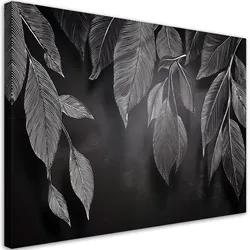 WANDBILD minimalismus hinterlässt pflanzen schwarz und weiß