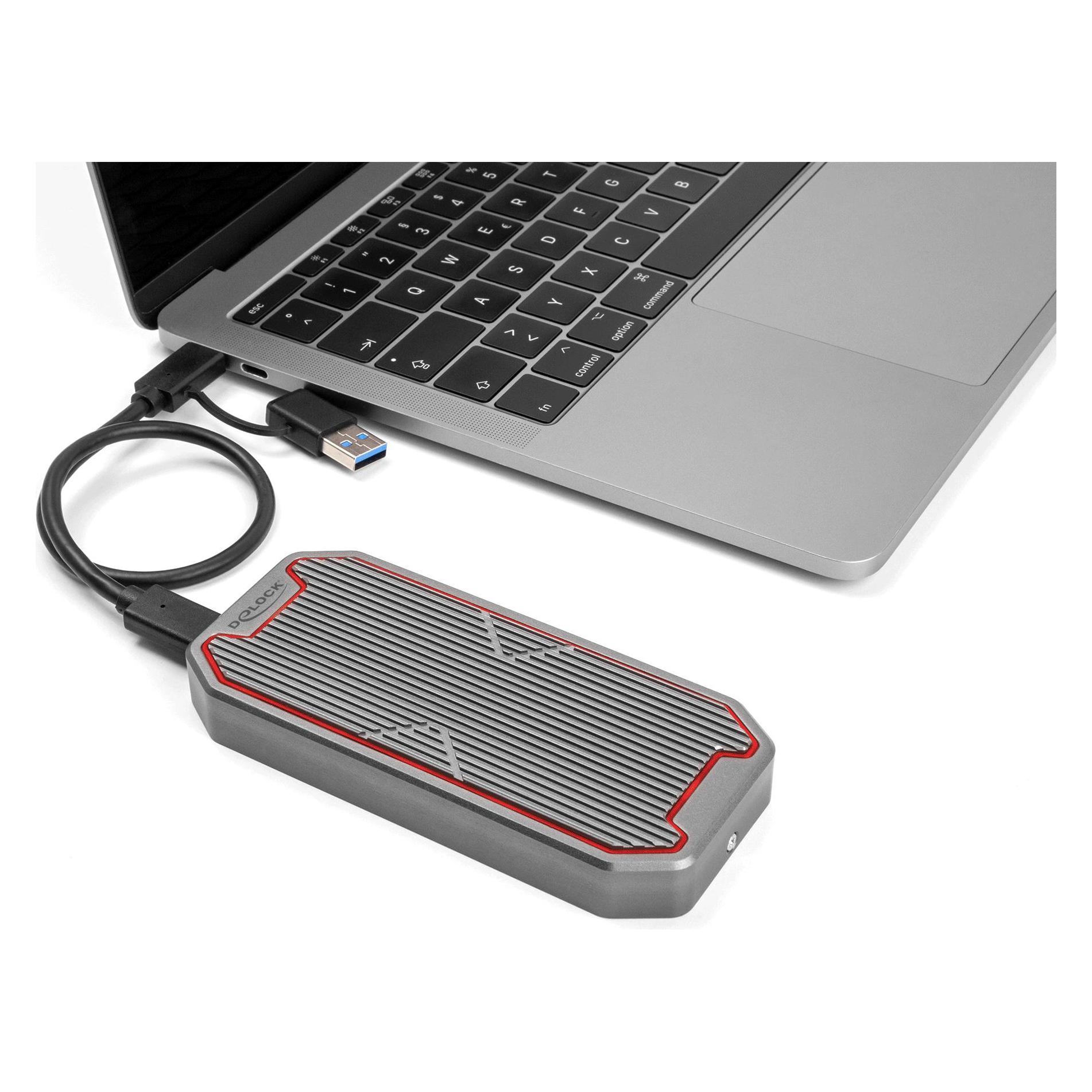 Delock Externes Gaming Gehäuse für M.2 N (M.2) (42015)