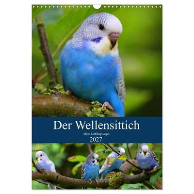Der Wellensittich - Mein Lieblingsvogel (Wandkalender 2027 DIN A3 hoch), CALVENDO Monatskalender