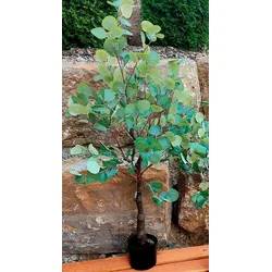 Kunstpflanze Eukalyptusbaum 180 cm Kunststoff Grün L (Large)