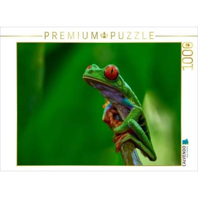 CALVENDO Puzzle Costa Rica - Rotaugenlaubfrosch | 1000 Teile Lege-Größe 64x48cm Foto-Puzzle für glückliche Stunden