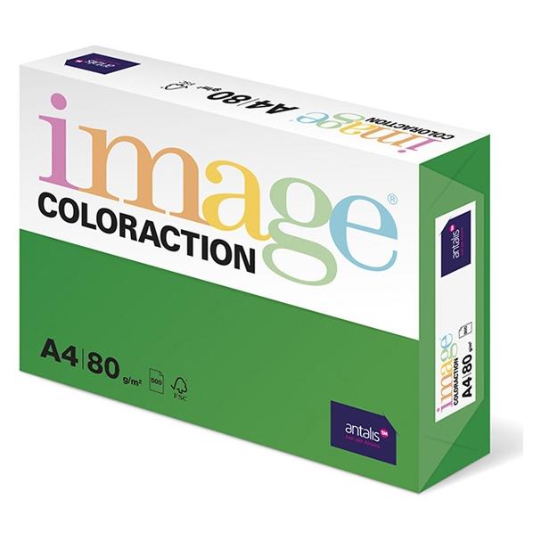 Antalis Kopierpapier Image Coloraction A4, Dunkelgrün, 500 Blatt (A4, 500 Blätter, 80 g/m²) (385080)