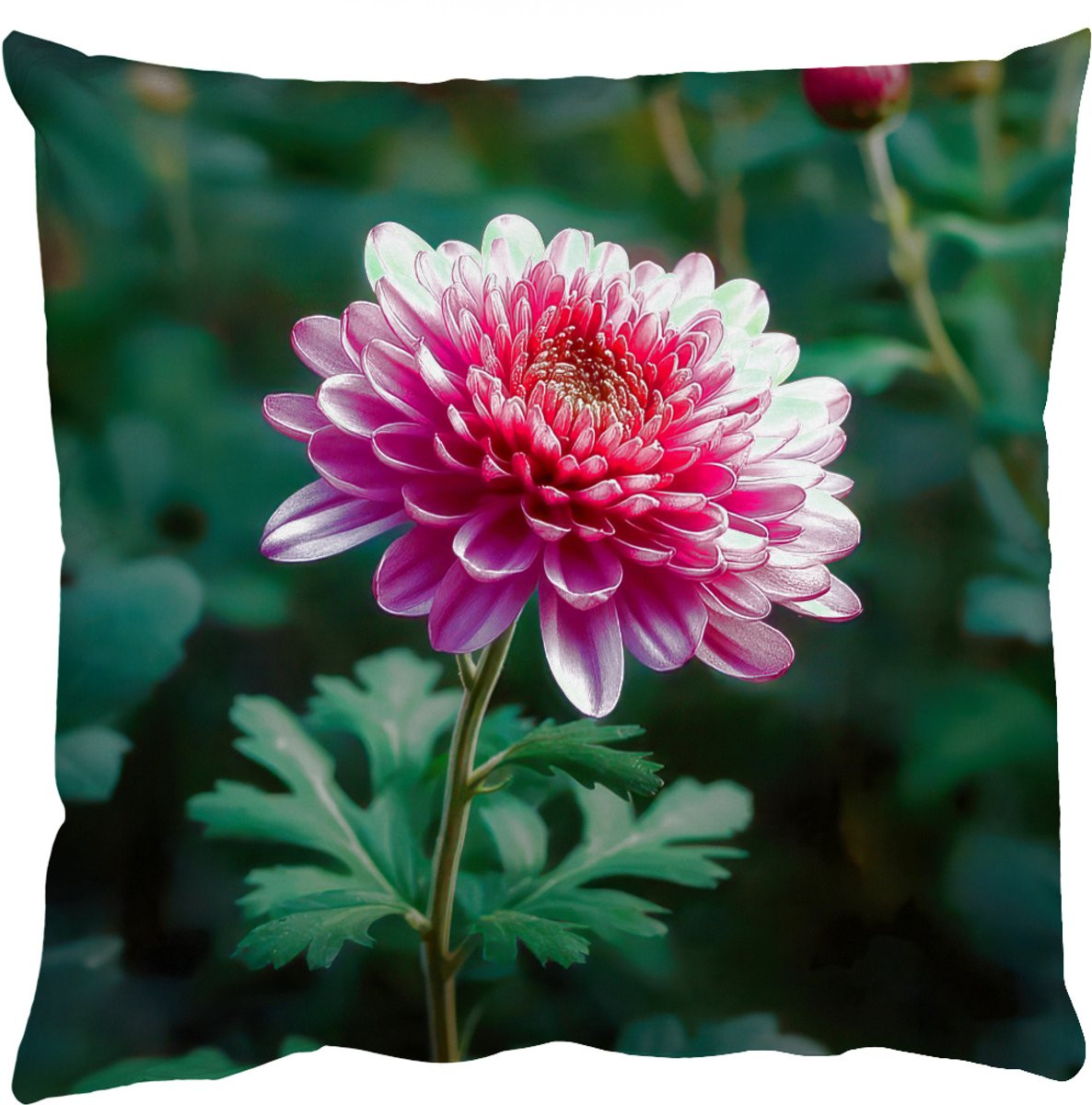 Sierkussen Chrysant Roze Schaduw 50 x 50 cm