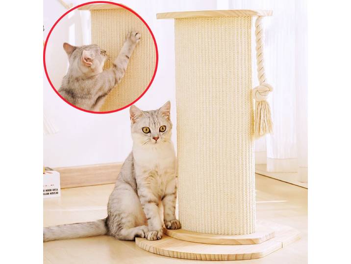 Cadre d'escalade pour chat, planche à gratter pour chats, poteau à gratter en bois massif, colonne pour chats, protection de canapé sautant, jouets pour animaux de compagnie
