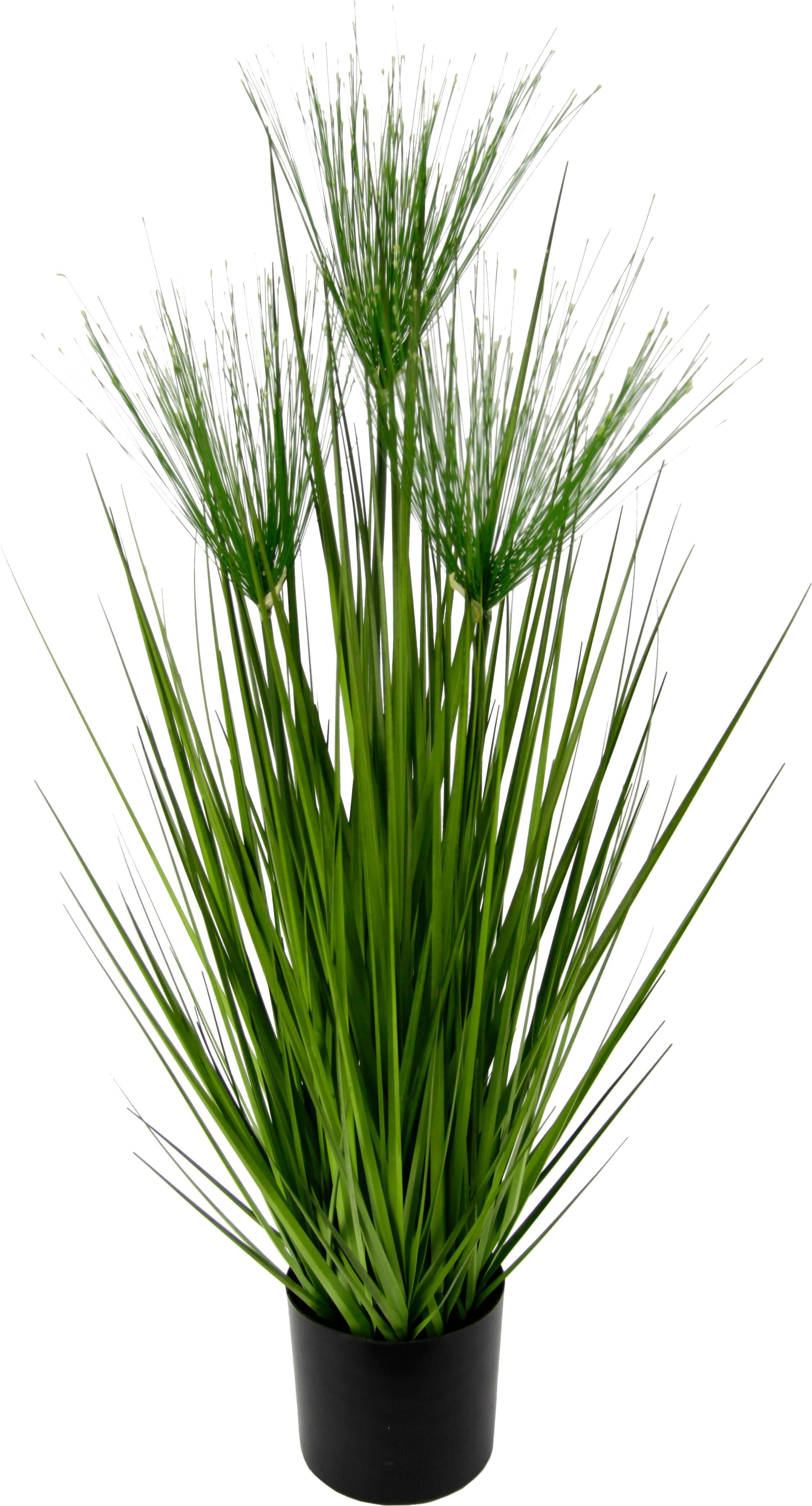 Kunstpflanze I.GE.A. "Zyperngras im Topf", grün, B:24cm H:75cm T:24cm, Kunststoff, Kunstpflanzen, Kunstpflanze