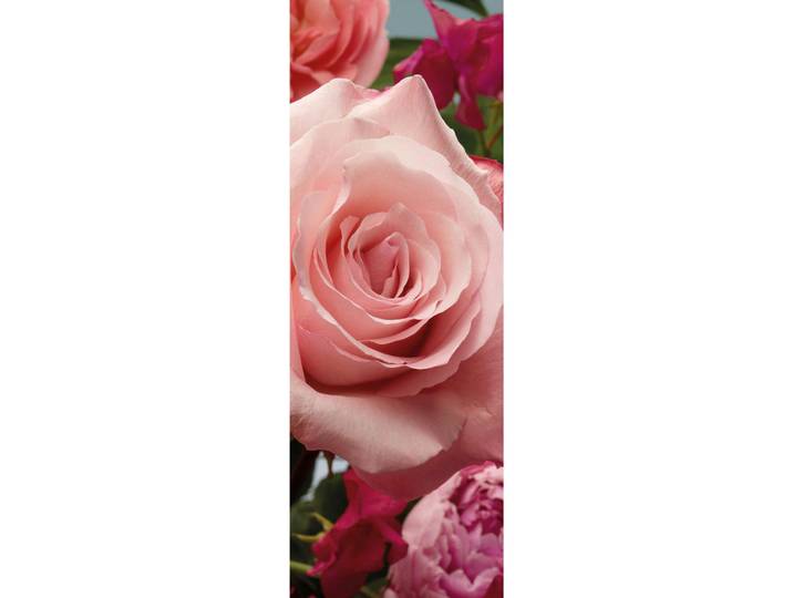 Komar Vliestapete, Rosa, Rose, 100x280 cm, Fsc, Tapeten & Wandverkleidungen, Vliestapeten