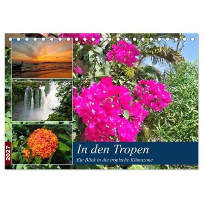 In den Tropen - Ein Blick in die tropische Klimazone (Tischkalender 2027 DIN A5 quer), CALVENDO Monatskalender
