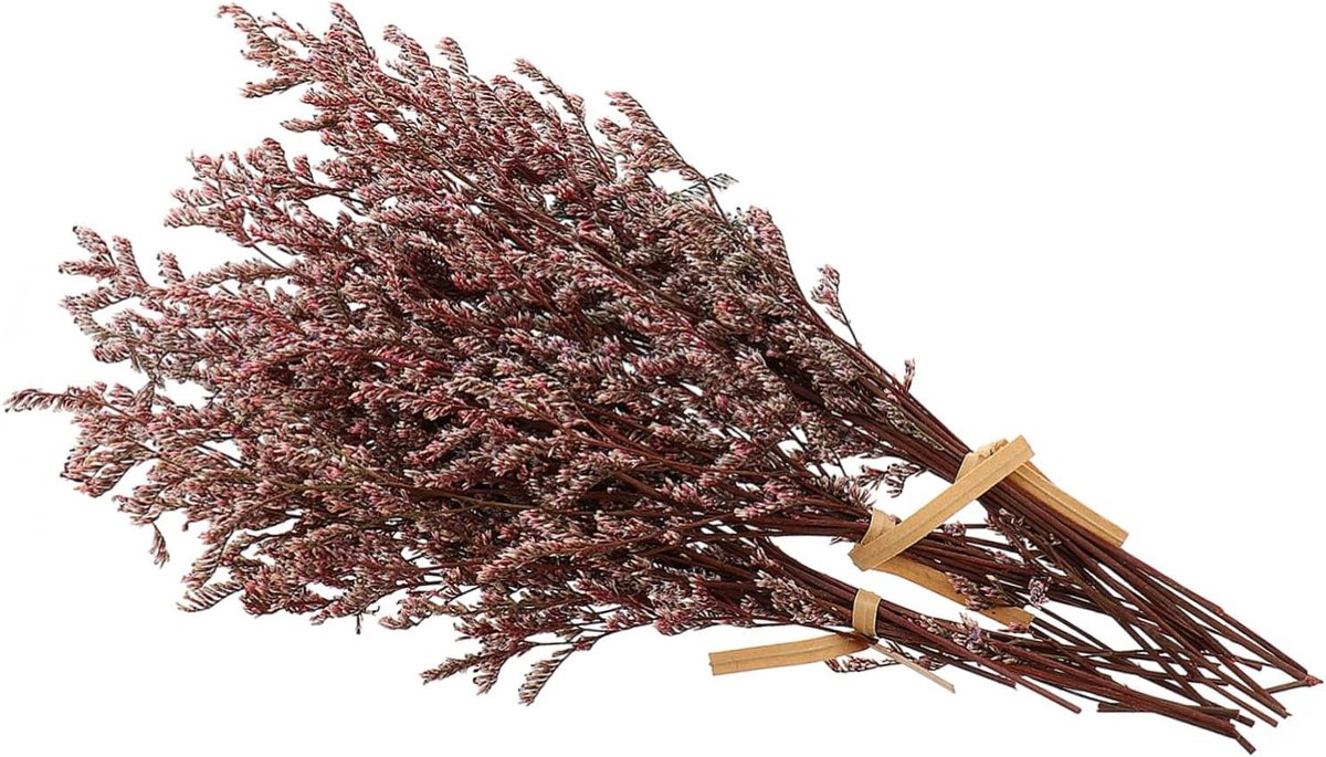Gedroogde Bloemen Decoratie Takken Rood - 10 Gram