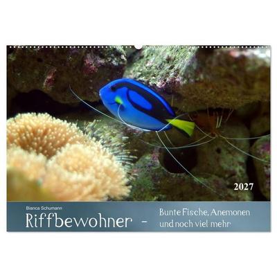 Riffbewohner - Bunte Fische, Anemonen und noch viel mehr (Wandkalender 2027 DIN A2 quer), CALVENDO Monatskalender