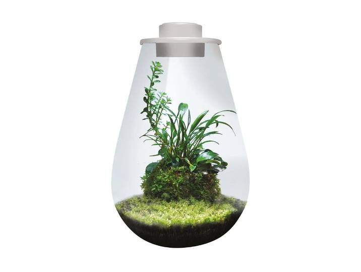LED Dekoobjekt Bio Art Pflanzengefäss Drop 285 mit LED-Leuchtmittel , grün (weiß), 1 Stk., Leuchten, LED Dekoobjekt