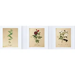 POSTER Set Mit 3 Blumen Vintage A4 Rahmenlos