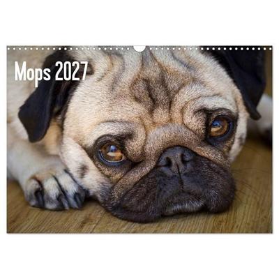 Mops 2027 (Wandkalender 2027 DIN A3 quer), CALVENDO Monatskalender