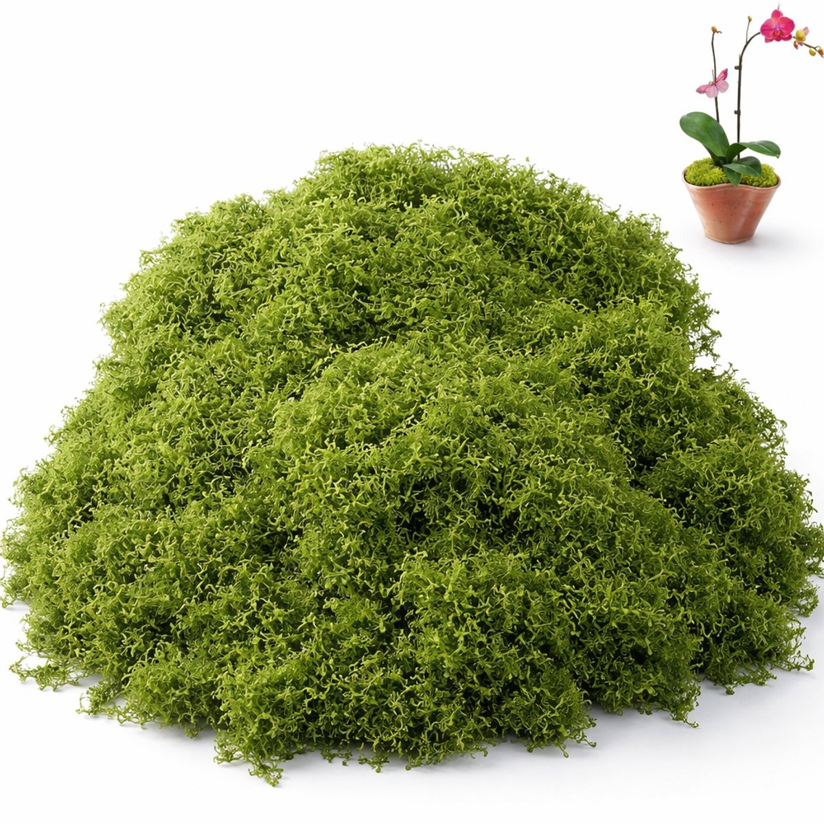 Groen Kunstmos voor Decoratie - Natuurlijke Uitstraling - 200g