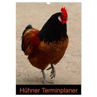 Hühner Terminplaner (Wandkalender 2027 DIN A3 hoch), CALVENDO Monatskalender