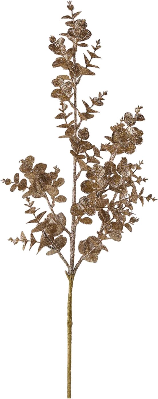 Edg Eukalyptus Gold H: 95 cm  Gold