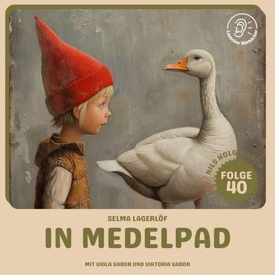 In Medelpad (Nils Holgersson, Folge 40) - Selma Lagerlöf, Audio, 9783711925039