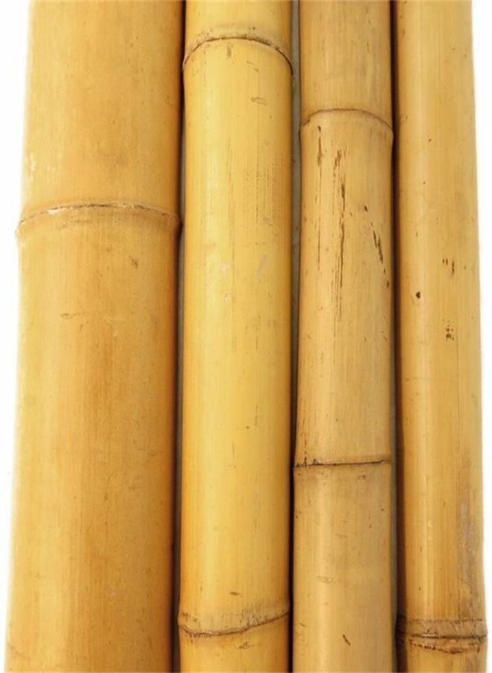 Weitere Bambusrohr 180 cm Ø 10/12 cm