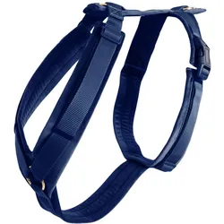 Kentucky Dogwear Hundegeschirr Active Velvet (S, Hund, Allgemein, Spazieren), Halsband + Leine