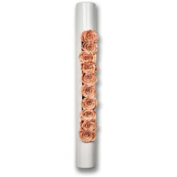 Flowerbox Infinity-Bloom bigTube - weiß/rosé - 65x7,5 cm