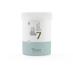 Biochemie Pflüger Schüßler-Salz Nr. 7 Magnesium phosp. D6 1000 St