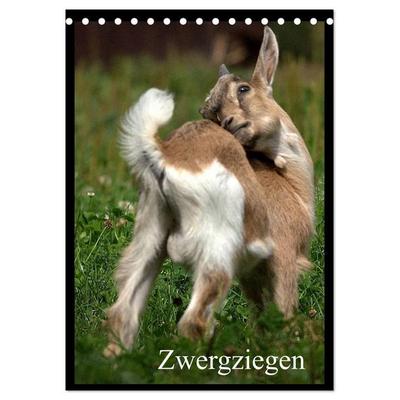 Zwergziegen (Tischkalender 2027 DIN A5 hoch), CALVENDO Monatskalender